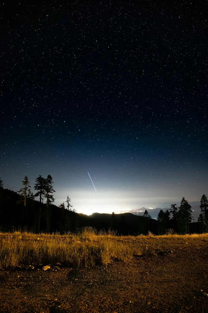 Silhueta de árvores sob o céu noturno